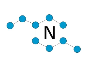 N2-icon-300x225